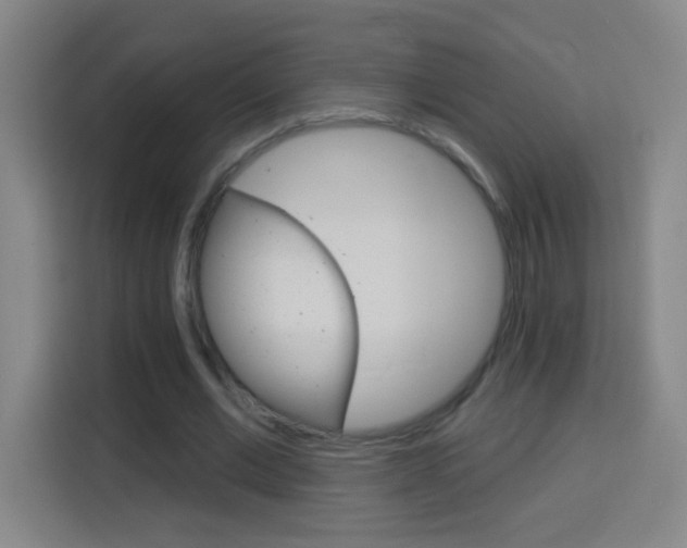 X0000114180677200910081134