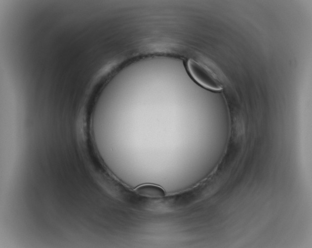 X0000114180680200910081134
