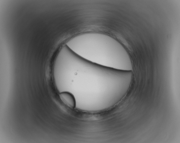 X0000114180683200910081134