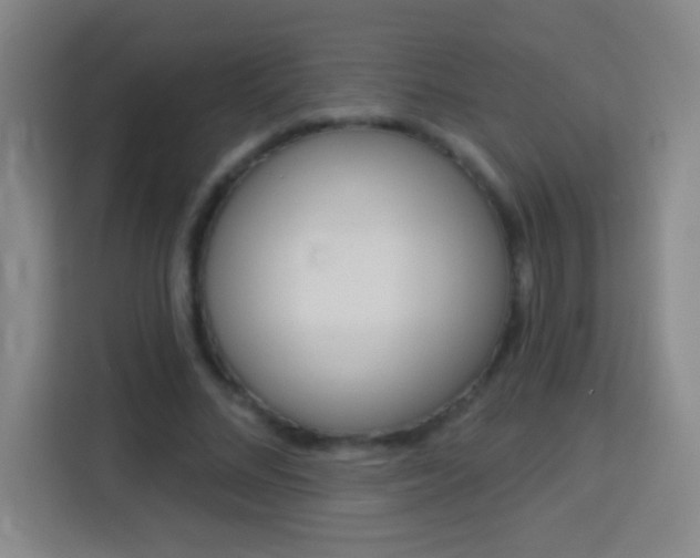 X0000114180684200910081134