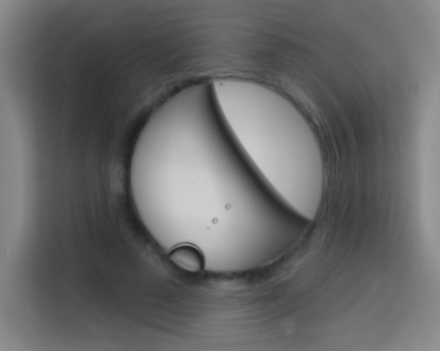 X0000114180689200910081134