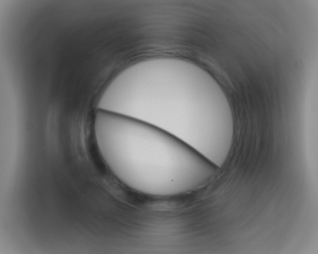X0000114180691200910081133