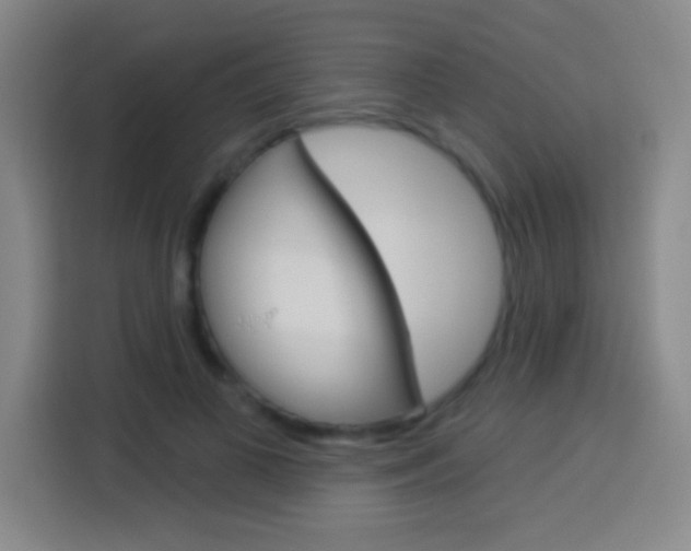 X0000114180693200910081133