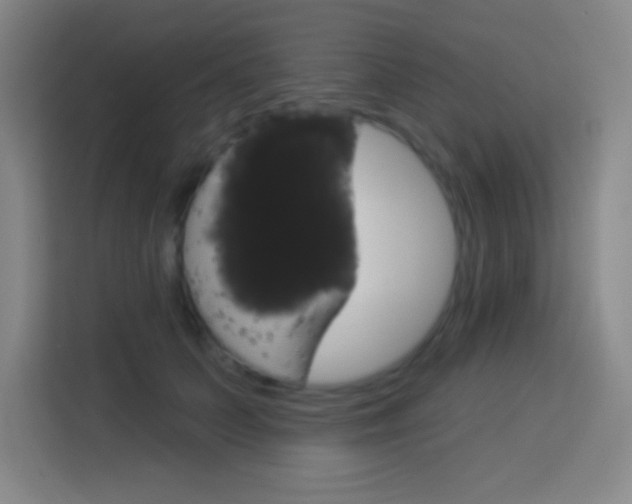 X0000114180703200910081133
