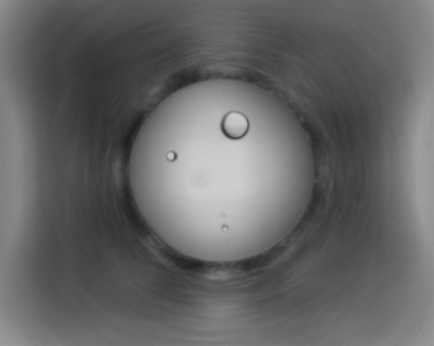 X0000114180708200910081133