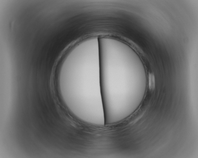 X0000114180723200910081133