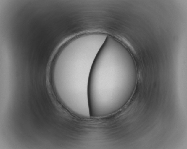 X0000114180724200910081133