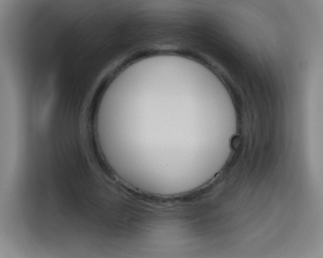 X0000114180731200910081133