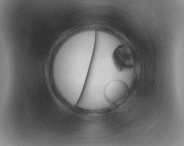 X0000114180734200910081133