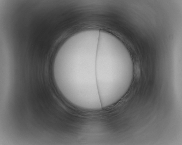 X0000114180735200910081133