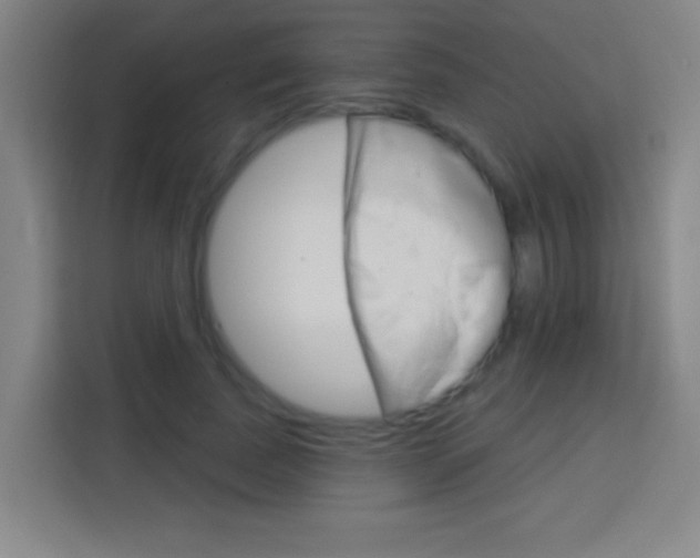 X0000114180739200910081133