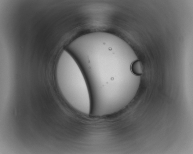 X0000114180742200910081133