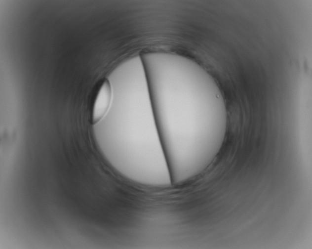 X0000114180747200910081133