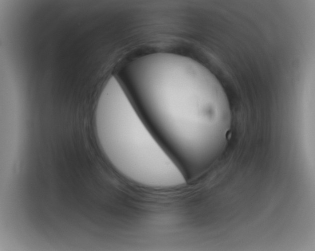 X0000114180750200910081133