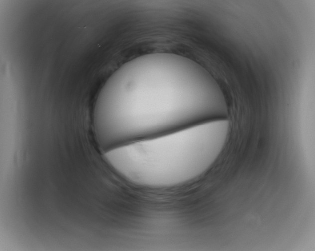 X0000114180752200910081133