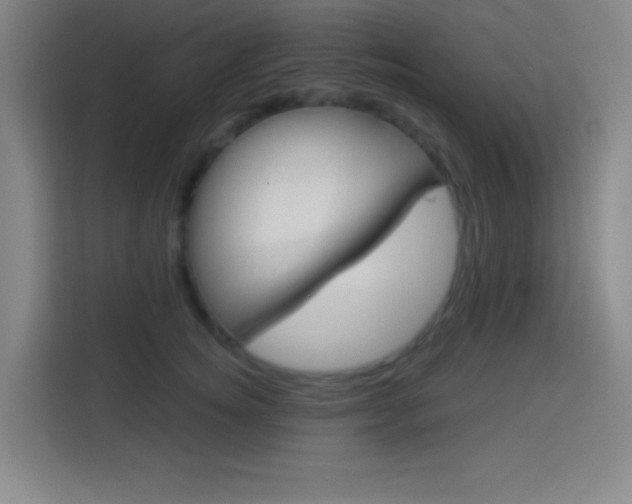 X0000114180756200910081133