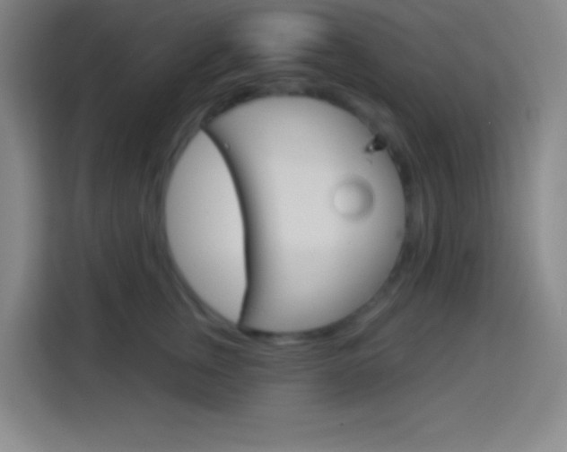 X0000114180759200910081133