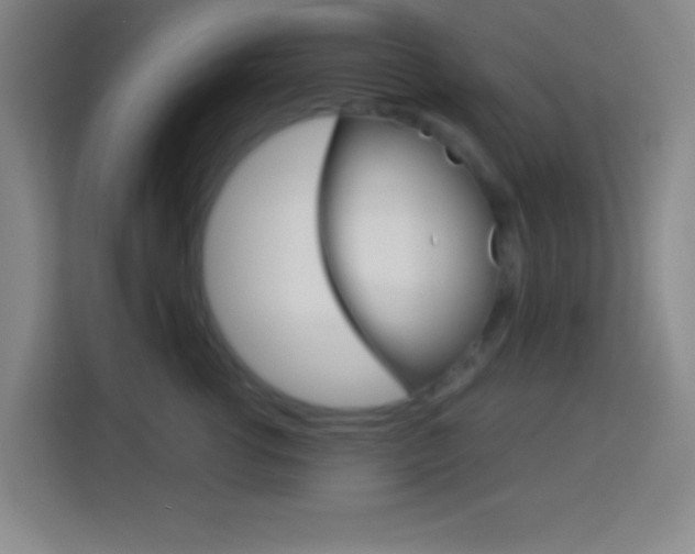 X0000114180762200910081133