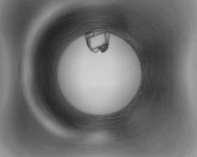 X0000114180764200910081133