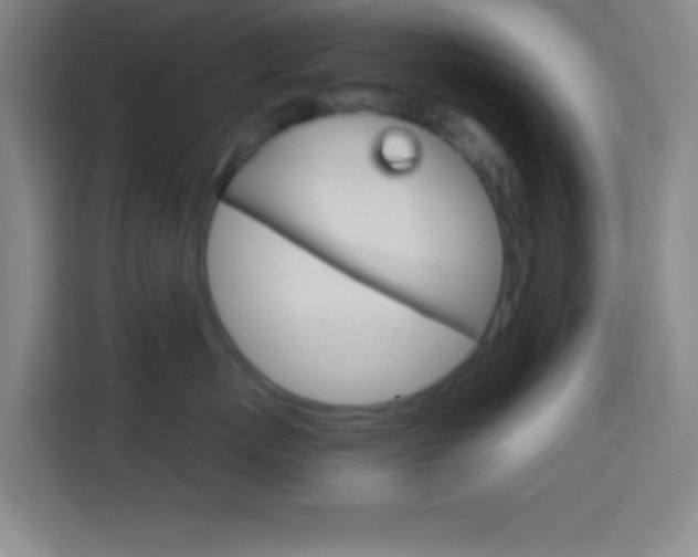 X0000114180767200910081133