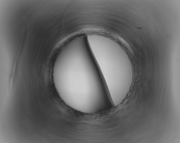 X0000114180775200910081132