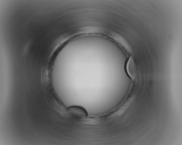 X0000114180781200910081132
