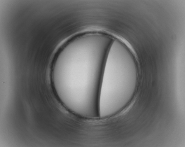 X0000114180783200910081132