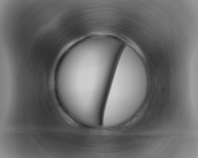 X0000114180787200910081132