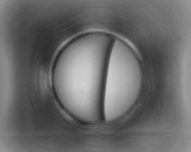 X0000114180791200910081132