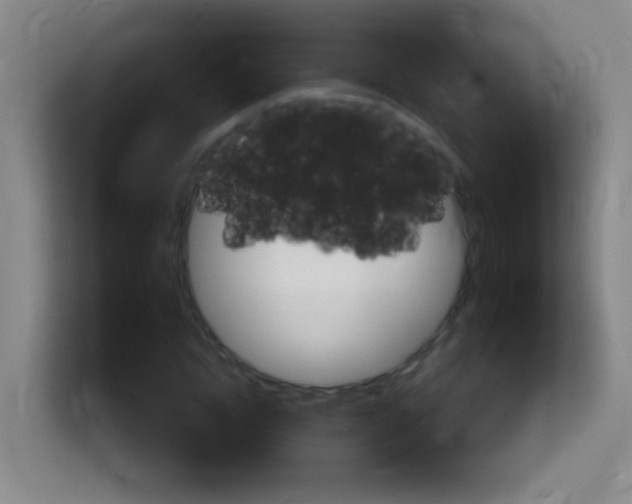 X0000114180822200910081131