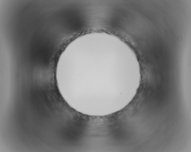 X0000114180824200910081131