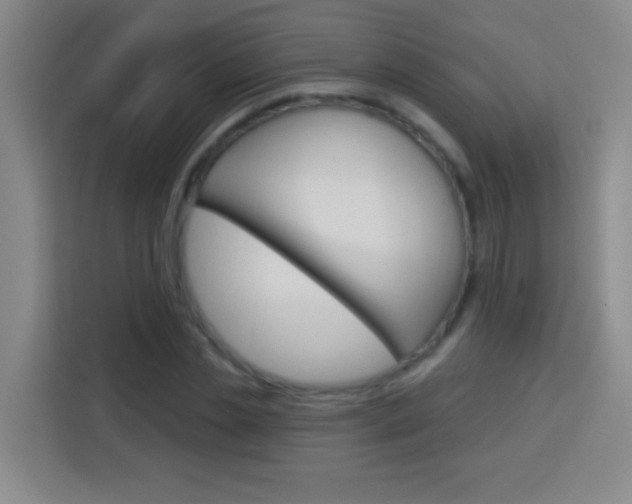 X0000114180829200910081131