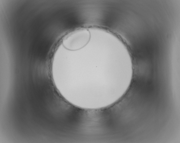 X0000114180832200910081131