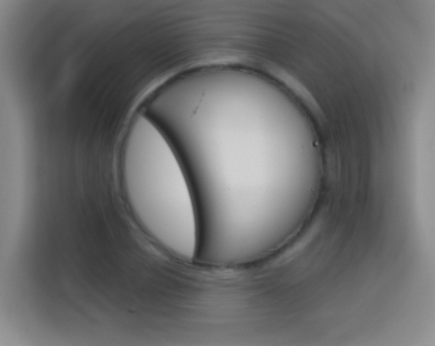 X0000114180834200910081131