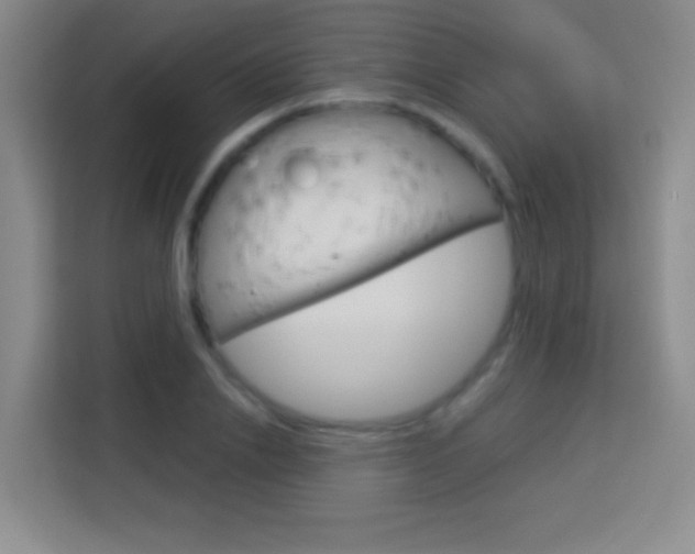 X0000114180838200910081132
