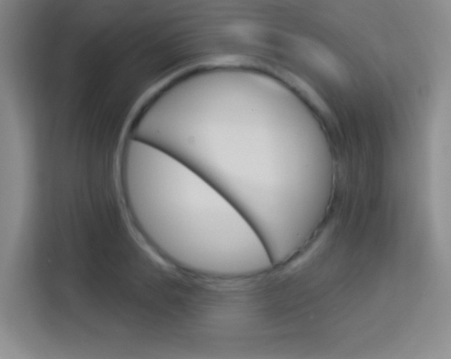 X0000114180839200910081132