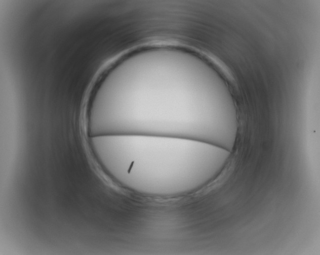 X0000114180840200910081132