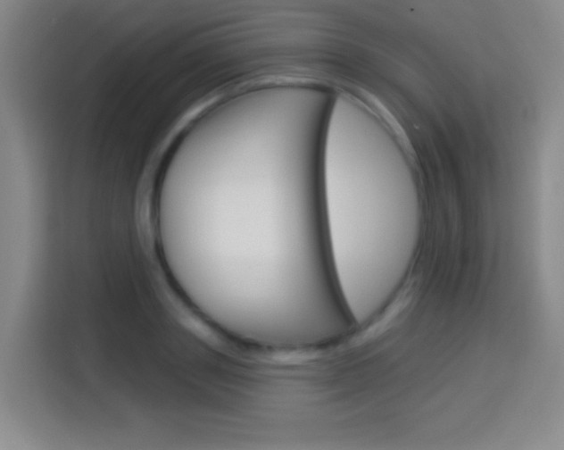 X0000114180843200910081132
