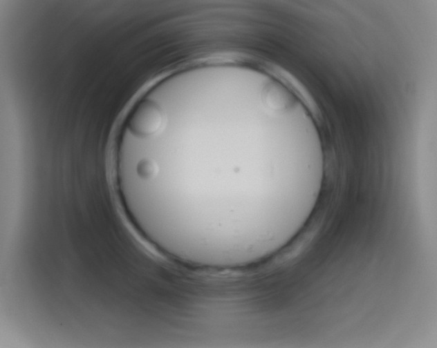 X0000114180851200910081132