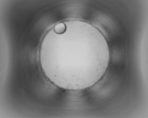 X0000114180856200910081132