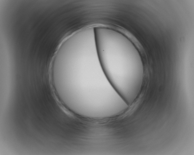 X0000114180858200910081132