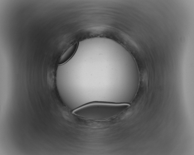 X0000114180868200910081131