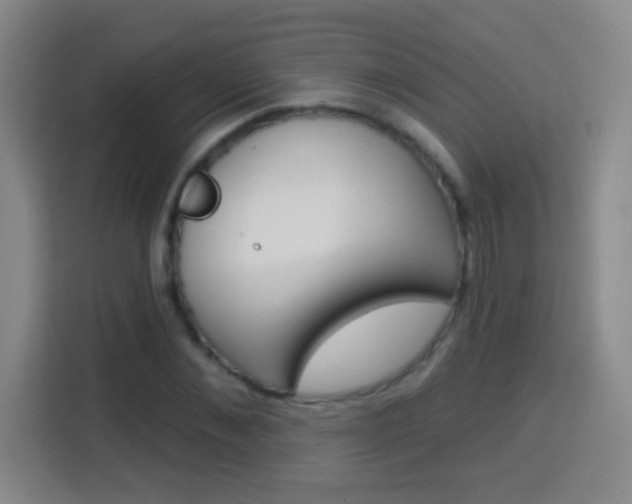 X0000114180876200910081131