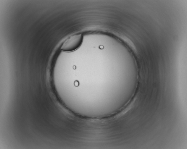 X0000114180880200910081131
