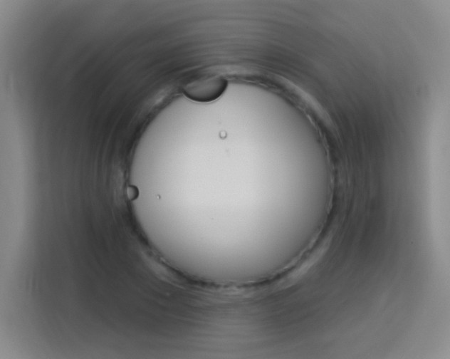 X0000114180881200910081131
