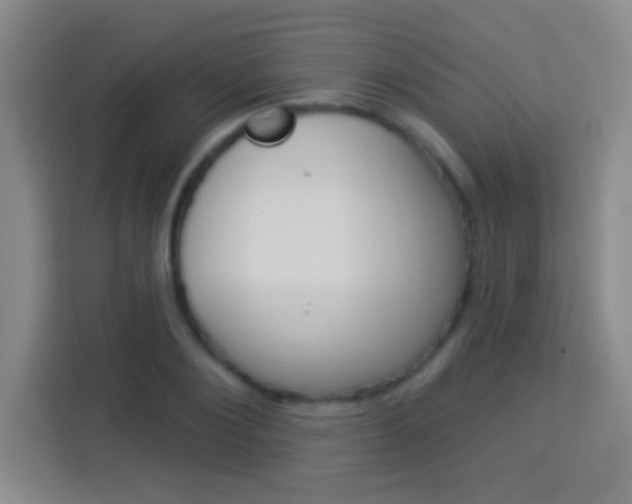 X0000114180884200910081131
