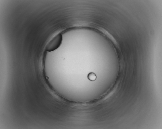 X0000114180885200910081131