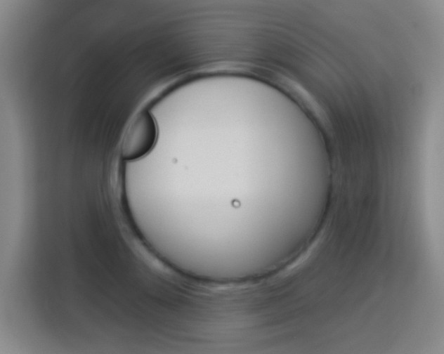 X0000114180892200910081131