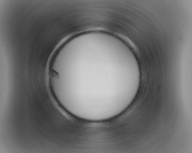 X0000114180894200910081131