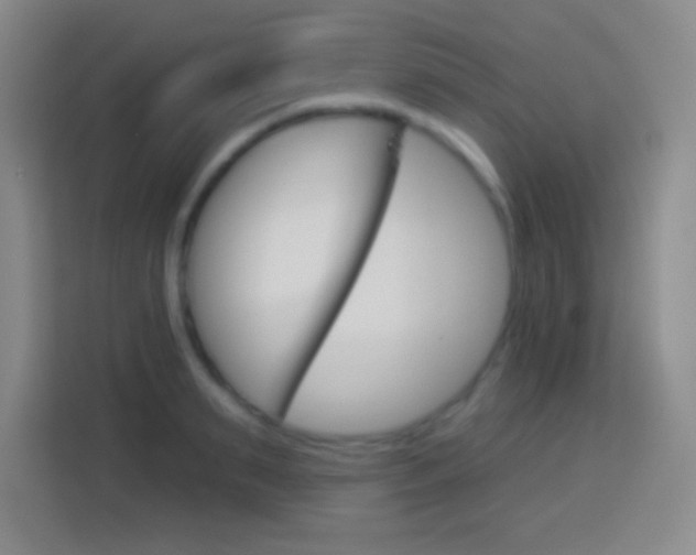 X0000114180895200910081131